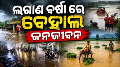 ଲଗାଣ ବର୍ଷା ରେ ବେହାଲ ଜନଜୀବନ ||CHARCHA NEWS