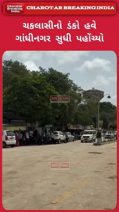 ચકલાસીનો ડંકો હવે ગાંધીનગર સુધી પહોંચ્યો.....
ચકલાસીની PM શ્રી બ્રાન્ચ શાળાએ એવું કાર્ય કર્યું કે ગુજરાતના શિક્ષણ મંત્રી રિવાબા જાડેજા જાતે શાળાની મુલાકાત લેવા આવ્યા. આ દરેક ચકલાસી વાસી માટે ગર્વની વાત છે.....
#charotar_breaking_india #chaklasi #gujarat #shikshanmantririvabajadeja #gandhinagarnews