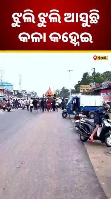 ଝୁଲି ଝୁଲି ଆସୁଛି କଳା କହ୍ନେଇ⭕❗⭕ Shorts | Niali News