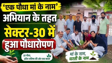 एक पौधा मां के नाम -अभियान के तहत सेक्टर-30 में हुआ पौधारोपण
#EkPaudhaMaaKeNaam #PlantationDrive #GreenHaryana #SaveEnvironment #GoGreen #TreePlantation #Kurukshetra #Sector30 #cleanandgreencommunity