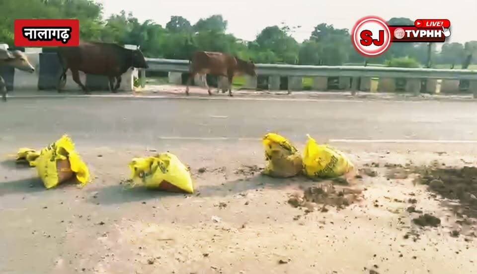 महादेव के पास धंसी नेशनल हाईवे-105 की सड़क, हादसे को दे रही खुला न्योता
दिन-रात हजारों वाहन गुजरते, राहगीरों की बढ़ी चिंता
मरम्मत के नाम पर सिर्फ चेतावनी , काम अब तक शुरू नहीं
लोगों का सवाल—क्या किसी बड़े हादसे के बाद ही जागेगा विभाग?
#NationalHighway105 #NH105 #Mahadev #Nalagarh #RoadSafety #BreakingNews #RoadDamage #PublicSafety #HimachalPradesh #Solan #DangerZone #HighwayAlert #Infrastructure #RoadRepair #AccidentAlert #SaveLives #NewsUpdate #ViralNews #HimachalNews #NalagarhNews
