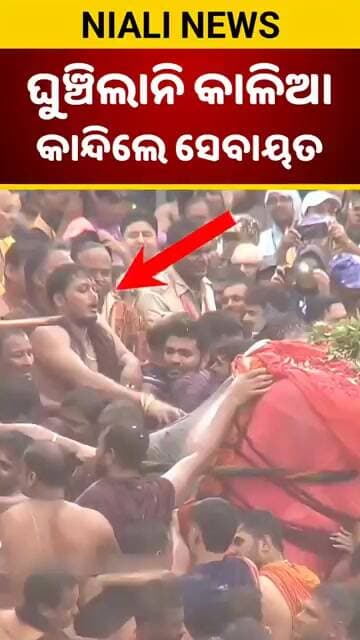 ଘୁଞ୍ଚିଲାନି କାଳିଆ କାନ୍ଦିଲେ ସେବାୟତ ⭕❗⭕ Jagannath | Puri | Rathayatra