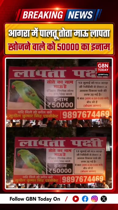 आगरा: वकील का पालतू तोता "माऊ" लापता, खोजने वाले को इनाम
#Agra #LostParrot #Reward #PetLove #ViralNews #UttarPradesh