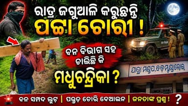 ରାତ୍ର ଜଗୁଆଳି କରୁଛନ୍ତି ପଟ୍ଟା ଚୋରୀ ବନ ବିଭାଗ ଶହ ଚାଲିଛି କି ମଧୁଚନ୍ଦ୍ରିକା #forest #amarkuchinda #kuchinda #BreakingNews #BREAKING #NewsUpdate