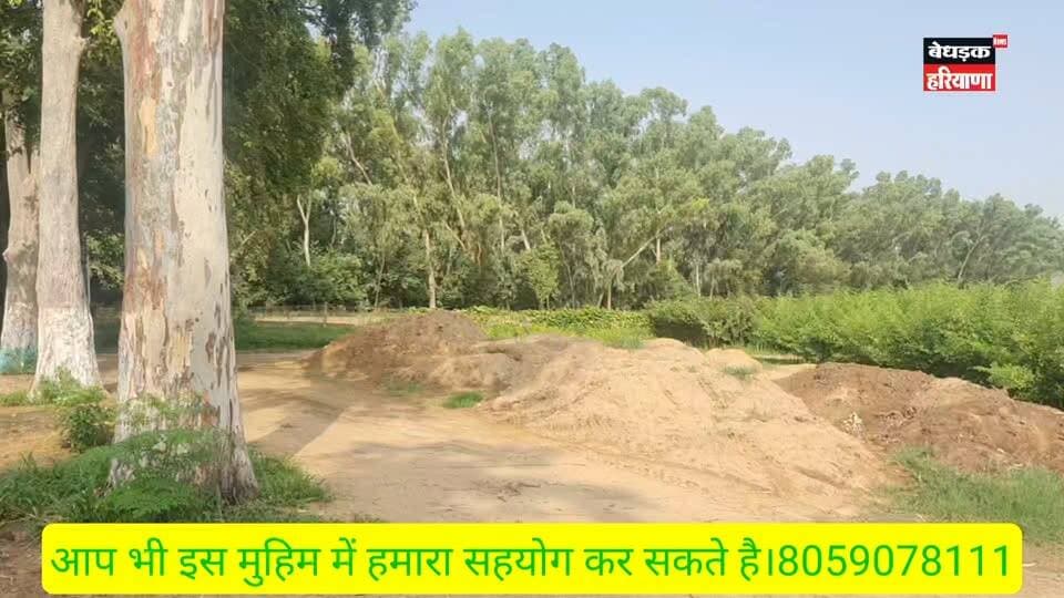 🌳 हर पौधा एक नई उम्मीद... पेड़ लगाने की मुहिम को सफल बनाने में वन विभाग सिरसा की नर्सरी का अमूल्य योगदान। इस नेक कार्य में सहयोग देने वाली पूरी वन विभाग सिरसा टीम का हार्दिक धन्यवाद। आइए, हम सब मिलकर अधिक से अधिक पौधे लगाएं और हरियाली बढ़ाएं। 💚🌿
#PlantationDrive #VanMahotsav #Sirsa #ForestDepartment #SirsaForest #GoGreen #SaveTrees #GreenHaryana #PlantTrees #Environment #HaritHaryana #पेड़_लगाओ #हरियाली #वन_विभाग #सिरसा #पर्यावरण_बचाओ #बेधड़क_हरियाणा_न्यूज़