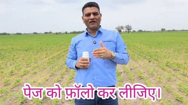 सोयाबीन में प्रथम छिड़काव में कया करे ? 073400 61331
#सोयाबीन #खाद