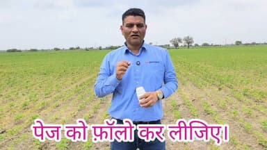 सोयाबीन में प्रथम छिड़काव में कया करे ? 073400 61331
#सोयाबीन #खाद