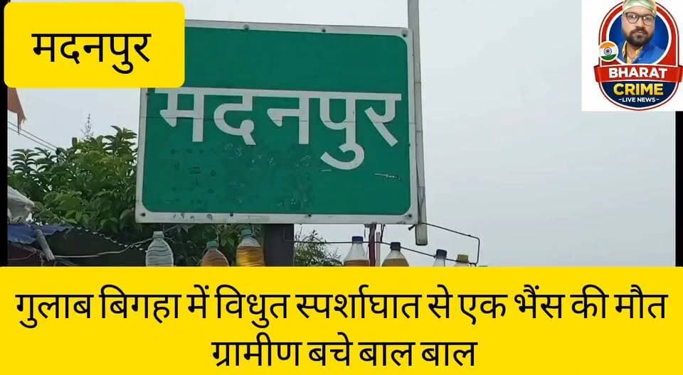 गुलाब बिगहा में विधुत स्पर्शाघात से एक भैंस की मौ*त, ग्रामीण बचे बाल बाल।
#Bharatcrimelivenews
#BreakingNews #Aurangabad #Madanpur #GulabBigha #ElectricShock #BiharNews #VillageNews #Compensation #AnimalDeath #AurangabadPolice #Bihar #मदनपुर
#गुलाबबिगहा #करंट #बिजली_विभाग #भैंस_की_मौत
#मुआवजा
#औरंगाबाद
#ब्रेकिंग_न्यूज
