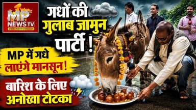गधों की गुलाब जामुन पार्टी, मध्य प्रदेश में गधे लाएंगे मानसून! MP News Bhopal
#MPNews #bhopal #gulabjamun #gulabjamunparty #monsoon