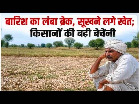बारिश का लंबा ब्रेक | सूखने लगे खेत | किसानों की बढ़ी चिंता #mpweatherupdate #kisan #fasale_prabhavit