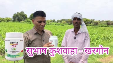 यूरिया के दाने पर कोट करने वाली जिंक, समता जॉक्स NC #zinc #SamtaZox