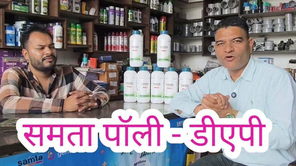 समता पॉली #डीएपी #dap
#khad