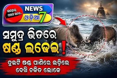 ପୁରୀ ସମୁଦ୍ରକୂଳରେ ଦେଖିବାକୁ ମିଳିଲା ଏକ ଅସାଧାରଣ ଦୃଶ୍ୟ। ଦୁଇଟି ଷଣ୍ଢ ପରସ୍ପର ଲଢେଇ କରି କରି ସମୁଦ୍ର ଭିତରକୁ ପଶିଯାଇଥିଲେ। #news7odia
#Puri #Odisha #SeaBeach #BullFight #ViralReels #ViralShorts #Trending #PuriBeach #NewsUpdate