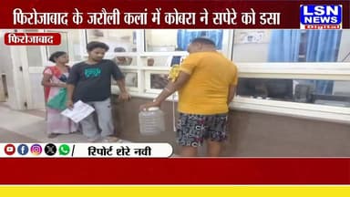 फिरोजाबाद: सांप पकड़ने गए सपेरे को कोबरा ने डसा, जिला अस्पताल में भर्ती
#Firozabad #Tundla #CobraBite #SnakeRescue #SnakeBite #DistrictHospital #UPNews #BreakingNews #LSNNews