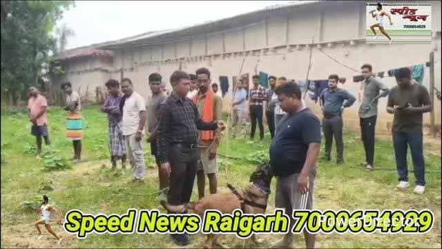 जासूसी कुत्ते नेे डबल मर्डर कैश में 2आरोपियों को पकड़ा, #police को मिला बड़ा क्लू #viral #dog #crime #law #court #crimenews
स्निफर डॉग रूबी 'ने खोला आग और
खून से रंगे दोहरे हत्याकांड का राज!
*******************************
*_13 साल की नफरत में बुजुर्ग दंपति_*
*_की जघन्य हत्या दो भाई गिरफ्तार_*
********************************
72 घंटे में पुलिस ने सुलझाया हादसे
की राख में दफन लाशों का रहस्य
*===================*
*♦रायगढ़/स्पीड न्यूज 18जुलाई 2026/* रायगढ़ के धर्मजयगढ़ में क्रोंधा देवमारीडांड गांव के एक घर को आग लगा कर बुजर्ग दंपति की मौत पर पर्दा डालने के किए गए प्रयास को पुलिस ने बेनकाब कर दिया है 15 जुलाई को गांव में उस समय सनसनी फैल गई थी जब 65 वर्षीय मंगल राठिया और उनकी 55 वर्षीय पत्नी पुनाई बाई राठिया के जले हुए शव एक कमरे में पड़े मिले थे। घर से धुआं उठ रहा था और दरवाजे खुले थे जिसे एक हादसे का रूप देने का भरपूर प्रयास किया गया था ताकि हत्या की साजिश घर की राख में दफन हो जायें और हत्यारे कानून के शिकंजे से बच जाए लेकिन रायगढ़ पुलिस की साइटिफिक इन्वेस्टिगेशन ने साजिश की इन सारी परतों को उधेड़ कर रख दिया इस बार भी स्निफर डॉग रूबी ने इस ब्लाइंड मर्डर केस के हत्यारों तक पहुंचने में पुलिस टीम की भरपूर मदद की
*******************************
*_वैज्ञानिक तफ्तीश व खोजी 'रूबी_*
********************************
जले हुए मकान में मिली लाश पर चोट के निशानों ने हादसे की थ्योरी में हत्या का एंगल जोड़ दिया तब मामले में गंभीरता को देखते हुए धरमजयगढ़ पुलिस ने इन्वेस्टिगेशन में एफएसएल टीम और डॉग स्क्वॉड की मदद ली जिसने वैज्ञानिक तरीके से घटनास्थल की बारीकी से जांच की, तो उन्हें एक टांगी (कुल्हाड़ी) मिली जिस पर खून लगा हुआ था जिसे स्निफर डॉग रूबी को सुंघाया गया रूबी ने हवा में कुछ सूंघा और तेजी से कदम बढ़ाते हुए सीधे जाकर एक शख्स के सामने रुक गई जिसका नाम श्याम लाल राठिया था रूबी ने तीन दिन में हत्या के दो मामलों में हत्यारों की शिनाख्त कर दोनों मर्डर मिस्ट्री को साल्व किया है पहले लेलूंगा में अब धर्मजयगढ़ दोनों हत्याएं ब्लाइंड मर्डर थे जिसमें हत्यारों तक पहुंचने का कोई सुराग नहीं था लेकिन रूबी ने इसे पुलिस के लिए आसान बना दिया रुबी से मिली इस लीड पर पुलिस ने श्याम लाल राठिया को हिरासत में ले लिया
****************************
*_13 साल पुराना वो खूनी राज_*
****************************
पुलिस ने रूबी से मिले इनपुट के बाद ह्यूमन इंटेलिजेंस और वैज्ञानिक तरीकों का इस्तेमाल कर श्याम लाल राठिया और उसके भाई जीवन लाल राठिया से अलग अलग पूछताछ की तो मामला किसी रहस्यमय उपन्यास की तरह परत दर परत खुलता चला गया और 13 साल पुराना राज जो दोनों भाइयों के सीने में सुलग रहा था जुबान पर आ गया शुरुवात हुई साल 2013 से जब आरोपियों ने एक जमीन खरीदी थी। लेकिन बाद में ज्यादा पैसे मिलने के लालच में मूल मालिक ने वह जमीन मृतक मंगल राठिया को बेच दी हालांकि समझौते के मुताबिक आरोपियों को उनके हक के पैसे मिल गए थे, लेकिन उस जमीन पर मंगल राठिया ने जब मकान बना कर खेती भी शुरू कर दी तो दोनों भाइयों के छाती पर सांप लौटने लगे और दिल में नफरत की आग भड़क उठी
****************************
*_14 जुलाई की खौफनाक रात_*
****************************
14 जुलाई की रात, जब पूरा गांव सो रहा था, दोनों भाई हाथ में टांगी (कुल्हाड़ी) थामे मंगल राठिया के घर पहुंचे जैसे ही दरवाजा खुला, दोनों ने मंगल राठिया पर टांगी से ताबड़तोड़ वार कर उसे मौत के घाट उतार दिया पति की चीख सुनकर पत्नी पुनाई बाई जान बचाने बाहर भागी, लेकिन बेरहम हत्यारों ने उसे भी जान से मारा डाला और हत्या को हादसे का रूप देने दोनों भाइयों ने लाशों पर कपड़े, सोफा कवर और घर का सामान डाल कर आग लगा दी साथ ही दो और कमरों में भी आग लगाई ताकि पूरा घर जल कर खाक हो जाए और पुलिस इसे शॉर्ट सर्किट या हादसा समझ कर मामला रफादफा कर दे लेकिन अपराधी कितना ही शातिर क्यों न हो कुछ न कुछ ऐसा होता है जो उसकी करतूत का भांडा फोड़ देता है इस मामले में भी थी हुआ यू की आग में लाशे पूरी तरह नहीं जली और अधजली लाशों पर पुलिस को धार धार हथियार के घांव साफ दिख गए जिसके बाद पुलिस इन्वेस्टिगेशन ने पूरे ड्रामिक हादसे का रहस्य खोल कर रख दिया ।
https://youtu.be/qXmVC0QuAHY?si=9Oj0frLxaN0Zr4vk
पूरा वीडियो देखने के लिए यहां क्लिक करें और वीडियो के नीचे लाल बटन दबा कर हमारे चैनल को सब्सक्राइब करें 🙏
*_Whatsapp में निःशुल्क खबर प्राप्त करने के लिए इस लिंक को टच करके फॉलो करे_*
Follow the Speed News Raigarh channel on WhatsApp:
https://whatsapp.com/channel/0029Va95NwoBFLgPiOQ0AQ2a
https://www.instagram.com/p/DZNMCA0NCsc/?igsh=MW1qcHI4c3k1N2xvNQ==
कृपया इंस्टाग्राम में भी आप हमे फॉलो कर के हमारी फ्री सेवा ले सकते है कृपया हमारे पेज को फॉलो जरूर करे
https://www.facebook.com/share/v/14NpQFN7CxT/
फेसबुक के लिए लिंक
*****************************
*_72 घंटे में सलाखों में कैद हत्यारे_*
******************************
वरिष्ठ पुलिस अधीक्षक शशि मोहन सिंह के कुशल निर्देशन धर्मजयगढ़ पुलिस की मुस्तैदी से इस अंधे कत्ल का पर्दाफाश महज 72 घंटे के अंदर हो गया। पुलिस ने आरोपियों के मेमोरेंडम के आधार पर हत्या में इस्तेमाल की गई टांगी और घटना के वक्त पहने गए कपड़े बरामद कर लिए हैं ओर दोनों भाई श्याम लाल राठिया (32 वर्ष) एवं जीवन लाल राठिया (48 वर्ष) को गिरफ्तार कर जेल भेज दिया
*****************************
*_SSP ने कहा हिंसा से बर्बादी_*
****************************
"आपसी रंजिश या भूमि विवाद का समाधान हमेशा कानून के दायरे में ही होना चाहिए। क्षणिक आवेश में लिया गया हिंसक निर्णय न केवल निर्दोषों की जान लेता है, बल्कि आरोपी और उसके पूरे परिवार का भविष्य भी बर्बाद कर देता है।"
********************************
*🔴रमेश पत्रकार 94252 52176*
*===================*
पुराना मकान तोड़ने या नया बनाने संपर्क करें*7000654 929* या *94241 91241* जहां मिलेगी विशेषज्ञ की सलाह वो भी निशुल्क मल्बा उठाने व पाटने के लिये भी संपर्क कर सकते हैं 🚜
*===================*
*भागवत शिव पुराण श्याम भजन जैसे*
*धार्मिक* आयोजन के लाइव टेलीकास्ट
यू ट्यूब फेसबुक व ट्यूटर पर करने हमसे
संपर्क करे जिसमे आपको वीडियो,रील व
फोटो फ्री आफ कास्ट दिया जायेगा
*7000654929*
*===================*
अब रायगढ़ में होगा गठिया का इलाज
...........................................................
आ रहे हैं पुणे के प्रसिद्ध रुमेटोलॉजिस्ट
*आर्थराइटिस गठिया रोग विशेषज्ञ*
*******************
*_डा. बी. बी. कुमार_*
********************
M B B S (M.D) FIPM
*JHON HOSPITAL (USA)*
संपर्क करे M.NO 9340753554,
9201773541
....................................................
*दीपक मेडिकल स्टोर* शासकीय
हॉस्पिटल के सामने रायगढ़ ( छ. ग.)
*===================*
महासमुंद जिले का बेहतरीन हॉस्पिटल
********************************
*_अग्रवाल नर्सिंग होम बसना_*
**************************
जिसमें महानगरों की तरह मरीजों को
मिलती ही इलाज की सभी सुविधा
आयुष्मान एवं बीजू हेल्थ कार्ड में बड़ी
से बड़ी बीमारी का होता है मुफ्त इलाज
*=================*
*एडमिशन ओपन+एडमिशन ओपन*
*********************************
रायगढ़ का बेहतरीन इंग्लिश मीडियम स्कूल
*=========*
*एस्सल बेबी लैंड*
*=========*
बेस्ट फर्नीचर क्लास रुम, प्ले ग्राउंड,गार्डन
कंप्यूटर फैसलिटी बेस्ट टीचर योगा क्लास
एक्टिविटी रुम,सेमिनार रुम स्पोकन इंग्लिश
की सर्व सुविधा युक्त जो देता हे आपके बच्चों
को शिक्षा का बेस्ट माहौल एवं अन्य सुविधाएं
*************************************
*बूढ़ी माई मंदिर के पास 7773066667*
*======================*
*_घर लाए खुशियों की सौगात_*
आज ही पधारे *अनुपम लाइफ स्टाइल*
*फर्नीचर एंड इलेक्ट्रॉनिक्स* तुलसी
होटल के पास ओवरब्रिज के नीचे 9981166102
******************************
इलेक्ट्रानिक सामनों की सबसे बड़ी
रेंज फ्रिज वाशिंग मशीन टीव्ही एसी
व सभी प्रकार के इलेक्ट्रानिक समान
किफायती रेट में बेहतरीन क्वालिटी के
साथ आज ही पधारे व आसान किस्तों
में समान ले जाए अपने घर ओर पूरा
करे अपने हसीन सपने
*===================*
*_बेहतरीन इलाज का जानामाना नाम_*
********************************
*शिव हॉस्पिटल&डायग्नोस्टिक सेंटर*
*===================*
ओवरब्रिज के पास,जूटमिल रोड,
********************************
"समस्त प्रकार मेडिसिन,सर्जरी,अस्थिरोग
एवं स्त्री व प्रसूति रोग का उपचार का एक
मात्र सुप्रसिद्ध हॉस्पिटल आयुष्मान कार्ड
में भी इलाज की सुविधा उपलब्ध है " *9735571555,9765779666*
*===================*
*स्कीन केयर &मेटेरनिटी क्लिनिक*
*===================*
*श्री सिध्दिविनायक*
*-------------------------------*
चर्म रोग कुष्ठ रोग गुप्त रोग सौदंर्य विशेज्ञ
*-------------------------------*
*डा. राकेश पटेल* *डा.मेनका पटेल*
समान्य व सिजेरियन डिलवरी सुविधा
*कोतरा रोड़ दशरथ पान ठेला के पास*
••••••••••••••••••••••••••••••••••••••••• *मो.नं.7610498601,7477059234*
*=====================*
*हर परिवार के आंगनमें गूंजेगी किलकारी*
---------------------------------
*अपेक्स हास्पिटल एंव टेस्ट ट्युब बेबी सेंटर*
---------------------------------
अटल चौक छातामुडा़ बायपास रोड रायगढ़ 07762-233051,23306,98930055
*सभी बिमारी के इलाज का संपूर्ण हास्पीटल*
*===================*
खेलेगा बचपन अब आपके आंगन
*००००००००००००००००००*
*डा.आर.एल.हास्पीटल*
*& टेस्ट ट्यूब बेबी सेंटर*
*००००००००००००००००००*
गौशाला रोड पुलिस लाईन रायगढ़
फोन नं.07762 231400 मो.96
30001100, 9425501788
*======================*
*_धूप 😎व पावर 🤓के चश्मों 👩🏫 की एक मात्र विश्वसनिय_* *_दुकान आयुष अप्टिकल्स है_ *_9617175209_*
रामनिवास टाकिज रोड़ रायगढ़ (छ.ग)
*=====================*