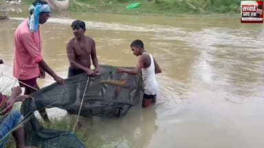 प्रशासन के कड़ी मशक्कत से 24 घंटे बाद #जाल में फंसा हुआ मिला वृद्ध का शव, बिस्फी प्रखंड रथोस घाट के #फगुनी #सहनी की मौत...
Sachhai aap tak News 24 Madhubani Khabar #BJPGovernment BJP Bihar Samrat Choudhary #shortsvideos #videoviral #realvideo Shankar Jha #SanjaySingh #TejashwiYadav #shortsvideos R.J.D - राष्ट्रीय जनता दल RJD Reels RK Yadav Press Samar Singh Rathor Bihar Tak Vijay Shree Tunna
