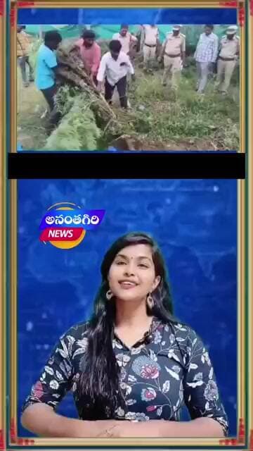దొంగ బాబా... గంజాయి దందా.. పట్టుకున్న పోలీసులు #viral