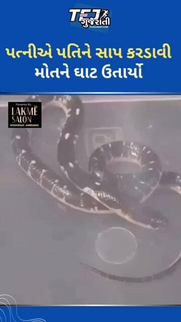 પત્નીએ પતિને સાપ કરડાવી મોતને ઘાટ ઉતાર્યો #ytnewshorts #gujaratinews