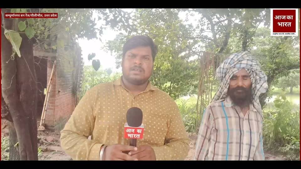 ट्रांस शारदा क्षेत्र : सम्पूर्णानगर वन के अन्तर्गत बाघ/तेन्दुऐ का आतंक, फिर एक पशु को घायल किया।
DM Lakhimpur Kheri @uttarpradeshforestdepartment @upforestdepartment @_upforest_ @forest department uttar pradesh
#homeautomation #MaxTheMovie #makeupbyme #womenfitness #besthomegadgets #leatherjacket #celebritystylist #glowingskin #FarahKhan #mbappe #KitchenHack #StyleStatement #kitchenaccessories #sharemarket #pushupsChallenge #ManUtd #dailylifehack #cleaninghacks #exercisemotivation #GautamGambhir #katemiddleton #animalphotography #homeworkoutchallenge #marketnews #homestyling #streetstyle #Olympics #rakhihampers #famousfood #sonambajwa
