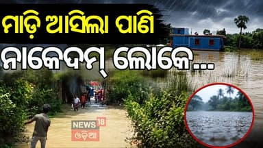 ରାସ୍ତା ଉପରେ ଚାଲିଛି ବନ୍ୟା ପାଣି | Flood Situation in Odisha | Dhamnagar Flood News | Odia News