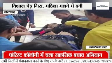 Gariaband News: विशाल नीलगिरी का पेड़ गिरा, डायल 112 ने बचाई महिला की जान