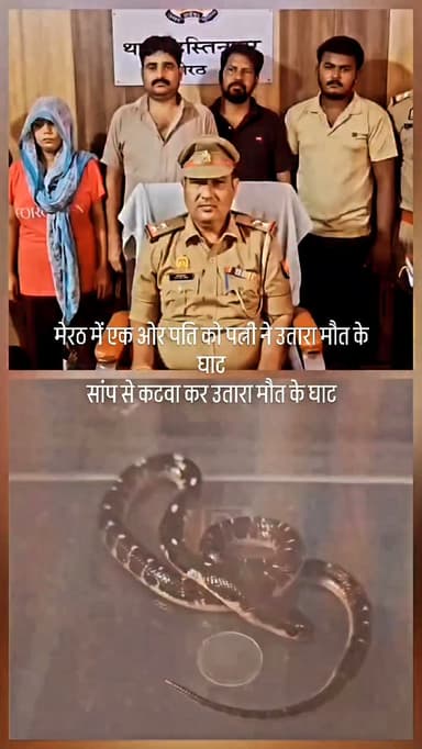 युपी के मेरठ में पत्नी ने अपने सपेरे आशिक के साथ मिलकर पति को सांप से कटवाया