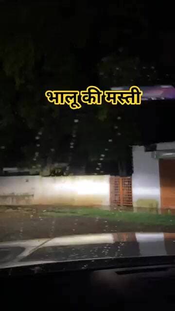 मनेंद्रगढ़ में भालू #shortvideo