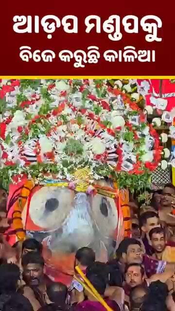 ଆଡ଼ପ ମଣ୍ଡପକୁ ବିଜେ କରିବାର ଅଲୌକିକ ଦୃଶ୍ୟ ⭕❗⭕ Jagannath | Puri | Rathayatra