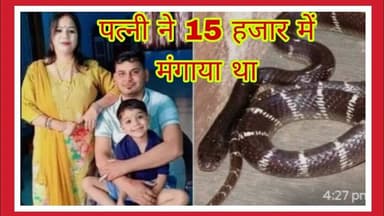 पत्नी ने 15 हजार में मंगाया था जहरीला सांप, दो दिन तक रखा भूखा फिर पति के बेड पर छोड़ दिया