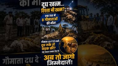 दूध खत्म... रिश्ता भी खत्म? एक ही रात में 8 गौमाताओं की मौत #gaumata #gauseva #viral #trending