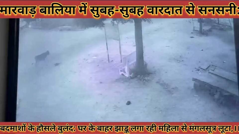 #बालिया_मे_सुबह_वारदात_से_सनसनी_बदमाशो_के_हौसले
#बुलद_घर_के_बाहर_झाड़ू_लगा_रही_महिला_से_मंगलसूत्र_लूटा
#baliya #me #subah #vardat #se #sansani #badmasho #ke #hosale #buland #ghar #ke #bahar #jhadu #laga #rhi #mahila #se #mangalsutra #luta #news #didwanajila