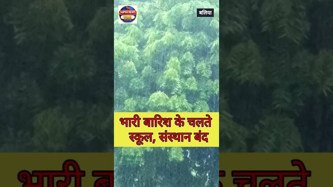 मूसलाधार बारिश का असर, छात्रों की सुरक्षा के लिए अवकाश घोषित #HeavyRain #RainAlert #SchoolClosed