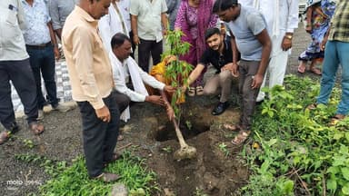 #सिवनी/ कलेक्टर श्रीमती नेहा मीना के मार्गदर्शन में #एक_पेड़_माँ_के_नाम अभियान अंतर्गत जिले में पर्यावरण संरक्षण एवं हरित आवरण बढ़ाने के उद्देश्य से व्यापक स्तर पर पौधरोपण अभियान संचालित किया जा रहा है। @CMMadhyaPradesh @DrMohanYadav51 @JansamparkMP #seoni https://t.co/7V11g2Fi1E