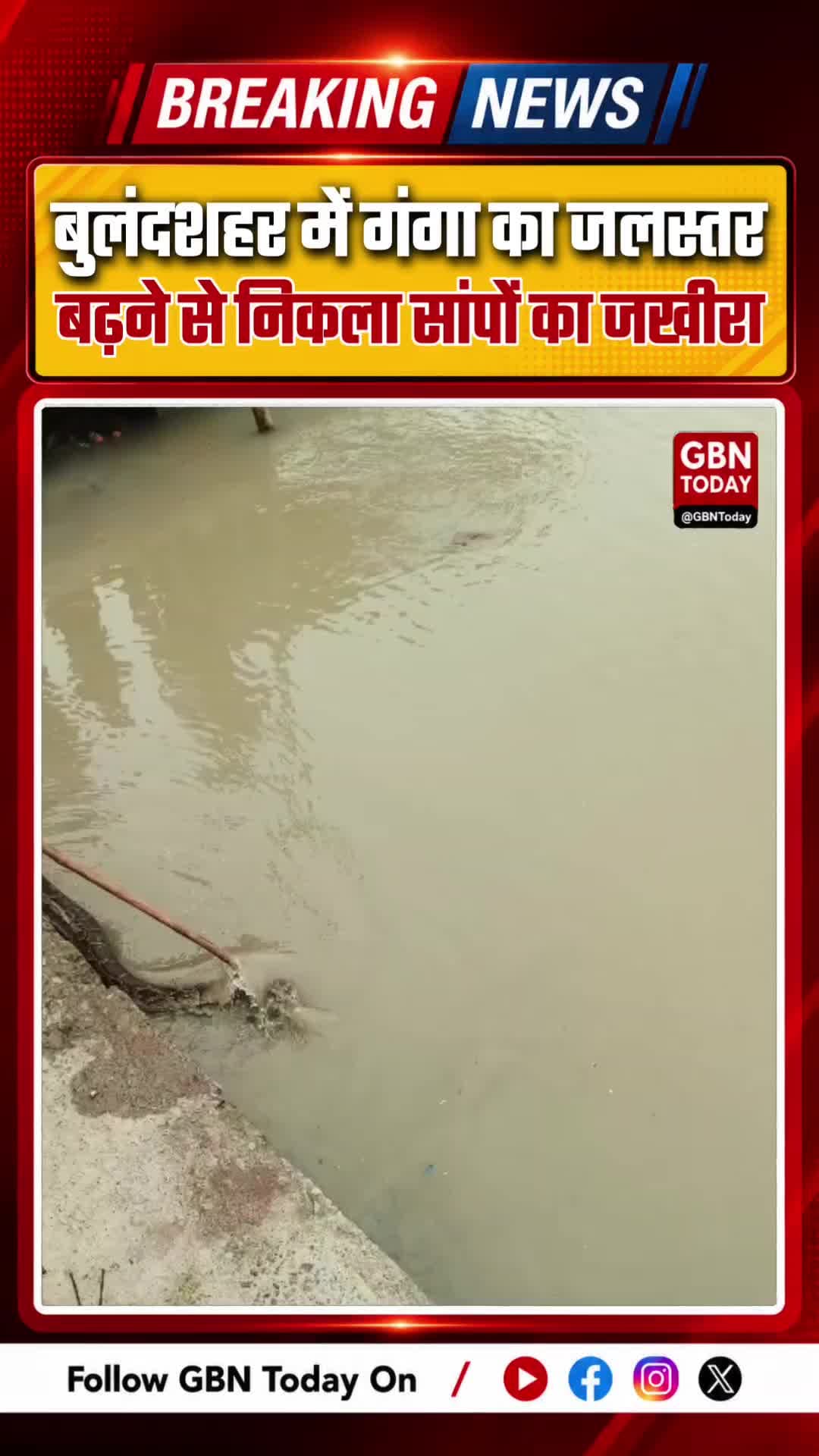 बुलंदशहर: गंगा का जलस्तर बढ़ने से राजघाट पर निकला सांपों का जखीरा #Bulandshahr #Rajghat #Gangariver #SnakeAlert #UPNews