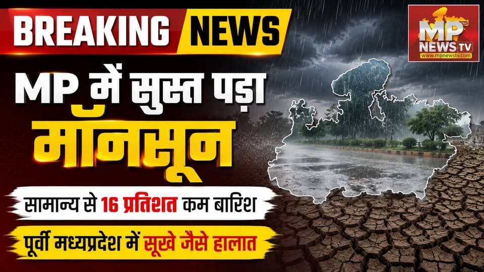 MP में सुस्त पड़ा मॉनसून, पूर्वी मध्यप्रदेश में सूखे जैसे हालात! MP News Bhopal
#MPNews #monsoon #rainfall