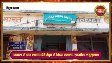 जंगल में घात लगाए बैठे तेंदुए ने किया हमला, ग्रामीण लहूलुहान। #panna #forestannimal #atteck #humen #injured