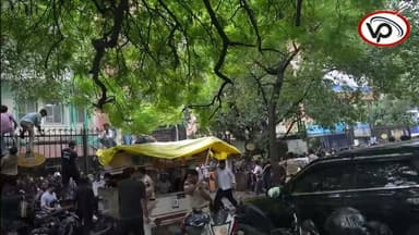 जंतर मंतर में पुलिस का ताण्डव, कई क्रांतिकारियों के टूटे हाथ-सिर और पैर
कॉकरोच जनता पार्टी के क्रान्तिकारी पहुंचे संसद भवन
#cockroach #naidelhi #mauganj #Coackroachjantaparty #CJP