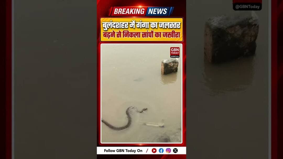 बुलंदशहर: गंगा का जलस्तर बढ़ने से राजघाट पर निकला सांपों का जखीरा ! #Bulandshahr #Rajghat #Ganga