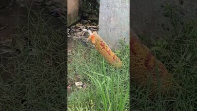 बिहार सरकार के नल जल योजना किस प्रकार से भ्रष्टाचार की भेट चढ़ गई है #biharnews #asishyadav #naljal