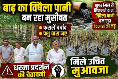 बाढ़ के विषैले पानी से किसानों की हजारों बीघा फसल बर्बाद ।
लालचांदवाला गांव के किसानों ने शुगर लक्सर पर बरसात के मौसम में दूषित पानी छोड़ने के लगाए आरोप क्या है पूरा मामला जानने के लिए देखिए यह वीडियो
#shradhatvnetwork
#viralreels
#UttarakhandNews
#BreakingNews
#उत्तराखंड
#पीड़ितकिसान