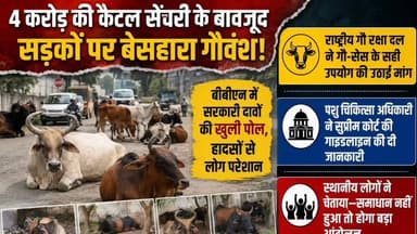 बीबीएन में बेसहारा गौवंश बना बड़ी मुसीबत
बद्दी-बरोटीवाला-नालागढ़ की सड़कों पर खुलेआम घूम रहे पशु
आए दिन हादसों और लोगों को नुकसान पहुंचाने की घटनाएं
स्थानीय लोगों ने सरकार और प्रशासन से उठाई ठोस कार्रवाई की मांग
बेसहारा पशुओं से जल्द निजात दिलाने की लगाई गुहार
#BBN #Baddi #Barotiwala #Nalagarh #BasaharaGovansh #StrayCattle #RoadSafety #HimachalPradesh