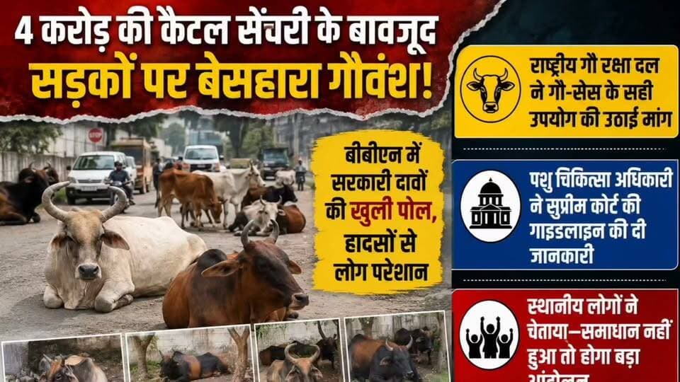 बीबीएन में बेसहारा गौवंश बना बड़ी मुसीबत
बद्दी-बरोटीवाला-नालागढ़ की सड़कों पर खुलेआम घूम रहे पशु
आए दिन हादसों और लोगों को नुकसान पहुंचाने की घटनाएं
स्थानीय लोगों ने सरकार और प्रशासन से उठाई ठोस कार्रवाई की मांग
बेसहारा पशुओं से जल्द निजात दिलाने की लगाई गुहार
#BBN #Baddi #Barotiwala #Nalagarh #BasaharaGovansh #StrayCattle #RoadSafety #HimachalPradesh