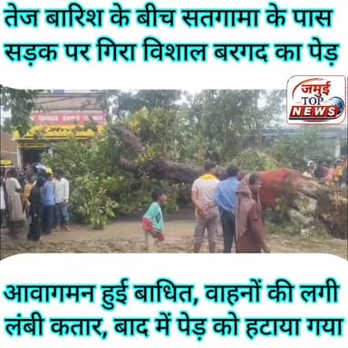 जमुई मलयपुर मार्ग पर बरगद का पेड़ गिरने से काफी देर तक आवागमन रही बाधित
मुश्लाधार बारिश के बीच जमुई- मलयपुर मुख्य मार्ग पर सतगामा के पास सोमवार को दिन के 11:00 एक विशाल बरगद का पेड़ गिर गया। जिससे आवागमन पूरी तरह बाधित हो गई। सड़क के दोनों ओर छोटी- बड़ी वाहनों की लंबी कतार लग गई। घटना के बाद स्थानीय लोगों की मौके पर काफी भीड़ लग गई। इसकी जानकारी वन विभाग की टीम और जिला प्रशासन को भी दी गई है। स्थानीय लोगों की मदद से गिरे बरगद के विशाल पेड़ को हटाने की प्रक्रिया की जा रही है। बताया जाता है कि सोमवार की अहले सुबह से ही लगातार मूसलाधार बारिश हो रही है। बारिश के दौरान ही बरगद का विशाल पेड़ बीच सड़क पर ही गिर गया। पेड़ गिरने की वजह से पूरी तरह आवागमन बाधित हो गई है। सड़क के दोनों तरफ छोटी- बड़ी वाहने खड़ी हो गई है। लोगों को परेशानियों का सामना करना पड़ रहा है। मौके पर पेड़ को हटाने के लिए जेसीबी भी मंगवाया गया है। पेड़ हटाने की प्रक्रिया की जा रही है। #jamuibihar #zilaprashasan