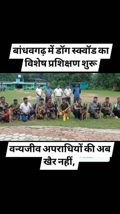 💥 बांधवगढ़ टाइगर रिजर्व में वन्यजीव संरक्षण को और मजबूत बनाने की दिशा में बड़ा कदम।
प्रदेश के विभिन्न टाइगर रिजर्व और राष्ट्रीय उद्यानों से पहुंचे 7 डॉग स्क्वॉड विशेष रिफ्रेशर प्रशिक्षण में शामिल हुए। इस प्रशिक्षण में खोजी श्वानों को ट्रैकिंग, गंध पहचान, वैज्ञानिक साक्ष्य खोज और वन्यजीव अपराधों की जांच की आधुनिक तकनीकों का अभ्यास कराया जा रहा है।
वन्यजीवों की सुरक्षा के लिए ये मूक प्रहरी हर चुनौती के लिए तैयार हो रहे हैं।
स्थान: बांधवगढ़ टाइगर रिजर्व, ताला (उमरिया)
#MPNews
#Bandhavgarh #BandhavgarhTigerReserve #DogSquad #K9 #wildlifephotography