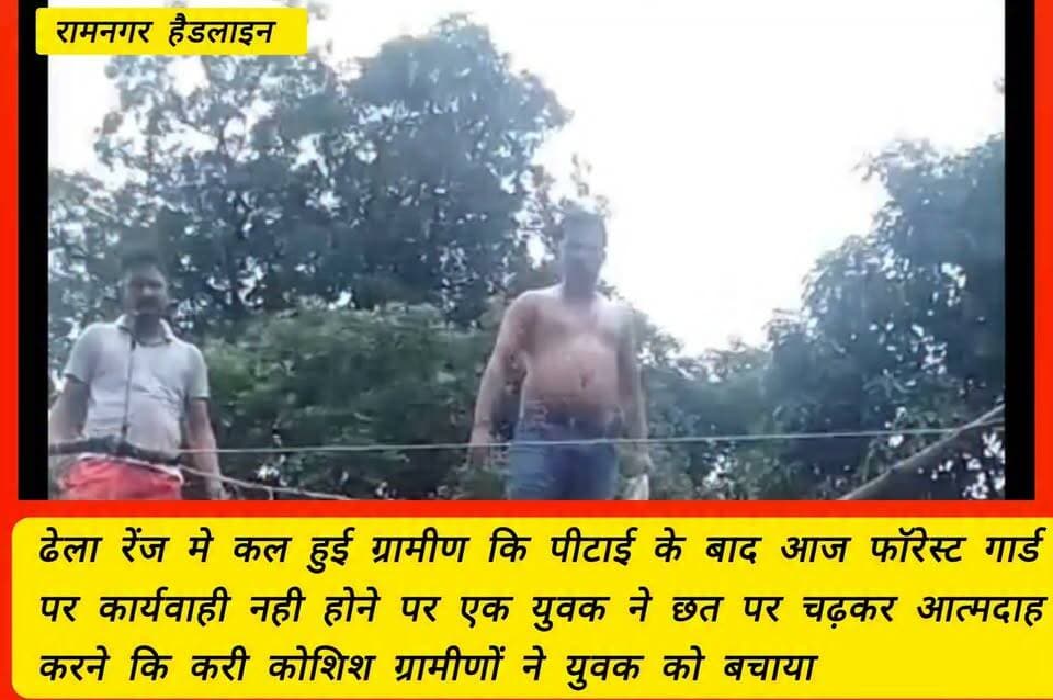 #रामनगरहैडलाइन - कॉर्बट टाईगर रिजर्व कि ढेला रेंज मे जलोनी लकड़ी काटने गये दो ग्रामीणों के साथ फॉरेस्ट गार्ड के द्वारा बुरी तरह से पीटने के मामले ने आज पकड़ा तूल पीड़ित परिवार का युवक रेंज कार्यालय कि छत पर पेट्रोल लेकर चढ़ा, छत पर चढ़े युवक ने अपने उपर पेट्रोल डालकर आत्मदाह करने कि करी कोशिश, आत्मदाह करने वाले युवक को ग्रामीणों ने छत पर चढ़कर बचाया, मौके पर कॉर्बेट टाइगर रिजर्व के पार्क वार्डन वन कर्मियों व पुलिस के साथ मौके पर पहुँचकर दोषी कर्मियों पर कार्यवाही करने का ग्रामीणों को दिया भरोषा।
#Saketbadola #CorbettTigerReserve #Dhelarenj #Graminkipeetai #Corbettforestgaurd #Ramnagar #Viralnews #Viralvideo