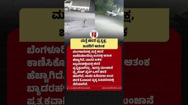 ಮತ್ತೆ ಚಿರತೆ ಪ್ರತ್ಯಕ್ಷ, ಜನರಿಗೆ ಆತಂಕ #Leopard #Bengaluru #Byadarahalli #DrainagePipe