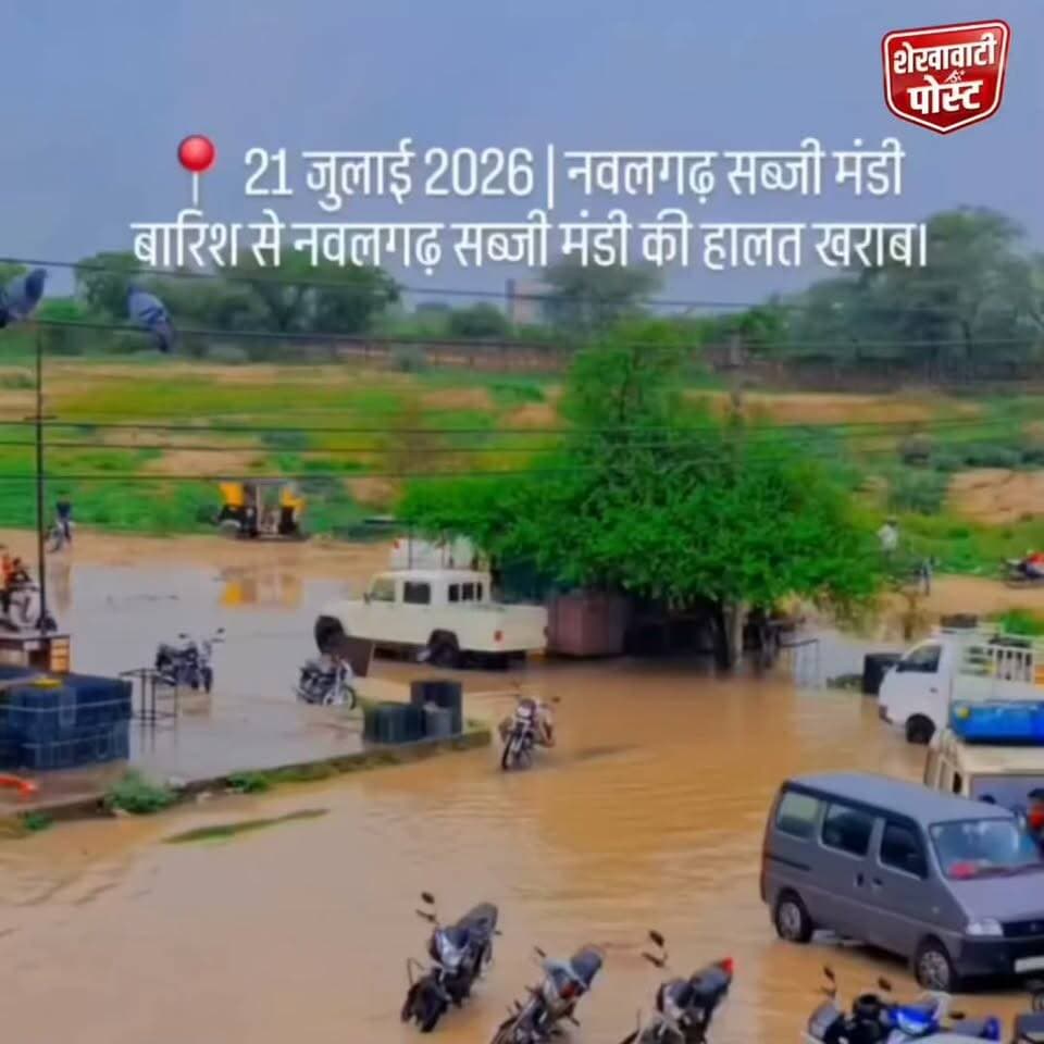 #नवलगढ़ : रातभर की बारिश ने डुबोई नवलगढ़ की मुख्य सब्जी मंडी, जलभराव से ठप पड़ा कारोबार