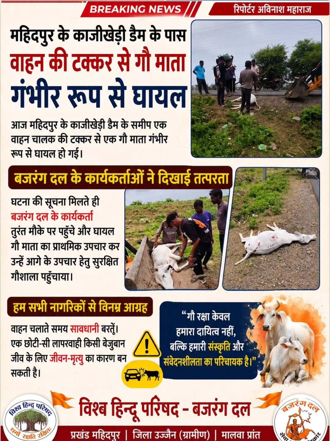 महिदपुर/ गोमाता की वाहन की टक्कर से गंभीर रूप से घायल