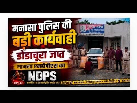 मनासा पुलिस की बड़ी कार्यवाही | डोडाचूरा जप्त | मामला एनडीपीएस का #manasa_police #dodachura #ndps_act