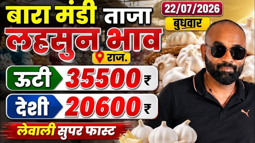 22 July 2026 बारा मंडी लहसुन भाव#लहसुन में तेजी मंदी #मंडी भाव#मंडी लहसुन भाव#today garlice rate